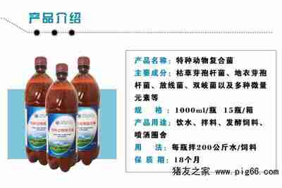 饮水保健液给鸽子防病用em菌饮水效果好吗